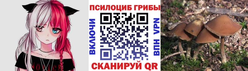 Галлюциногенные грибы MAGIC MUSHROOMS Гулькевичи